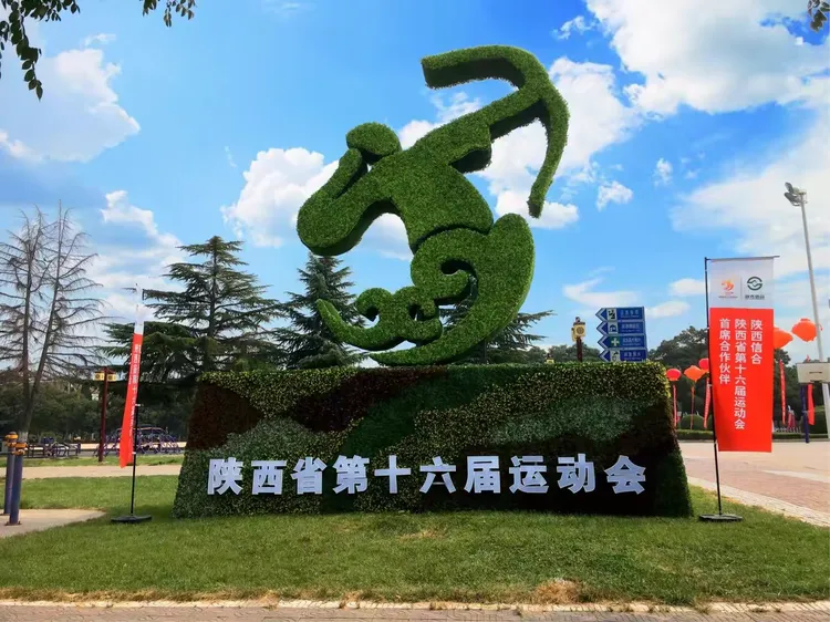 德国拳击选手勇夺铜牌，身姿挺拔英勇无畏